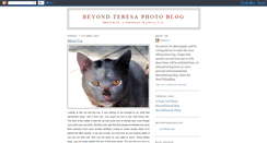 Desktop Screenshot of beyondteresaephoto.blogspot.com