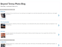 Tablet Screenshot of beyondteresaephoto.blogspot.com