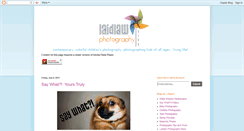 Desktop Screenshot of laidlawphotography.blogspot.com
