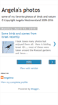 Mobile Screenshot of goangelina.blogspot.com