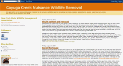 Desktop Screenshot of cayugacreekwildlife.blogspot.com