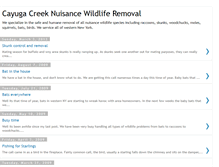 Tablet Screenshot of cayugacreekwildlife.blogspot.com
