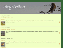 Tablet Screenshot of citybirding.blogspot.com