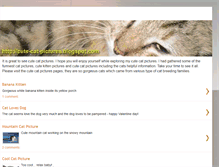 Tablet Screenshot of cute-cat-pictures.blogspot.com