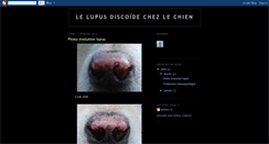 Desktop Screenshot of lupus-discoide-chien.blogspot.com