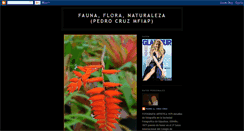 Desktop Screenshot of cruzmfiap.blogspot.com