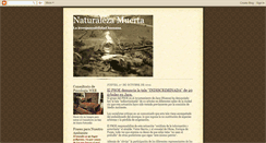 Desktop Screenshot of naturalezamuerta100.blogspot.com