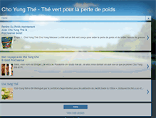 Tablet Screenshot of choyungfrance.blogspot.com