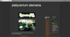 Desktop Screenshot of platyceriumstemaria.blogspot.com