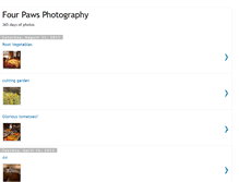 Tablet Screenshot of fourpawsphotos.blogspot.com