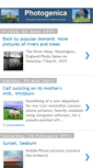 Mobile Screenshot of photogenica.blogspot.com