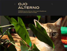 Tablet Screenshot of ojoalterno.blogspot.com