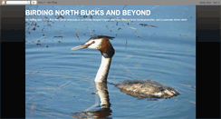 Desktop Screenshot of birdingnorthbucksandbeyondblogspot.blogspot.com