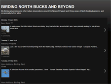 Tablet Screenshot of birdingnorthbucksandbeyondblogspot.blogspot.com