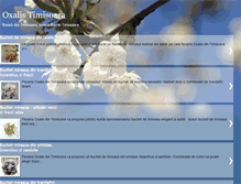Tablet Screenshot of florarii-timisoara.blogspot.com