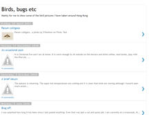 Tablet Screenshot of hkbirds.blogspot.com