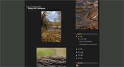 Desktop Screenshot of kostaselenisbirds.blogspot.com
