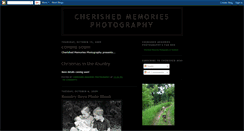 Desktop Screenshot of cherishedmemoriesphotography09.blogspot.com