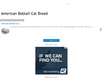 Tablet Screenshot of americanbobtail.blogspot.com