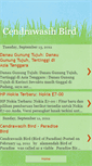 Mobile Screenshot of cendrawasih-bird.blogspot.com