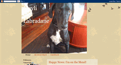 Desktop Screenshot of maylithelabradane.blogspot.com