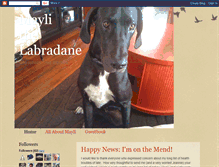 Tablet Screenshot of maylithelabradane.blogspot.com