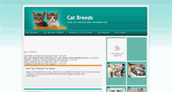 Desktop Screenshot of catcustomer.blogspot.com