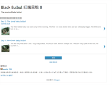 Tablet Screenshot of blackbulbul2.blogspot.com
