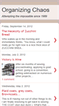 Mobile Screenshot of organizing-chaos.blogspot.com