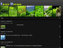 Tablet Screenshot of naenjoy.blogspot.com