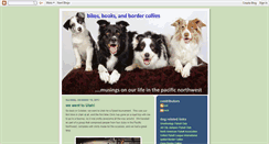 Desktop Screenshot of bikesbooksbordercollies.blogspot.com