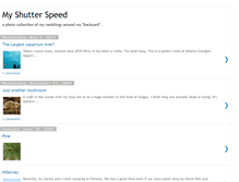 Tablet Screenshot of myshutterspeed.blogspot.com
