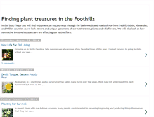 Tablet Screenshot of foothillplanttreasures.blogspot.com