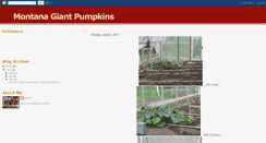 Desktop Screenshot of grizzly-montanagiantpumpkins.blogspot.com