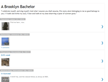Tablet Screenshot of brooklynbachelor.blogspot.com