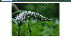 Desktop Screenshot of andi365.blogspot.com