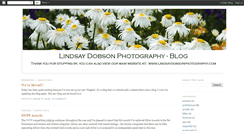 Desktop Screenshot of lindsaydobsonphotography.blogspot.com