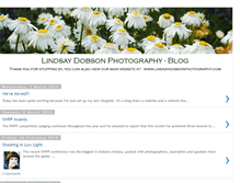 Tablet Screenshot of lindsaydobsonphotography.blogspot.com