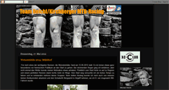 Desktop Screenshot of mtbaustria.blogspot.com