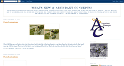 Desktop Screenshot of abundantconcepts.blogspot.com