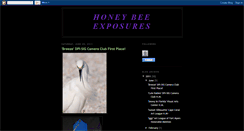 Desktop Screenshot of honeybeeexposures.blogspot.com