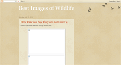 Desktop Screenshot of bestwildlifeimages.blogspot.com