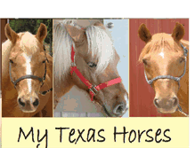 Tablet Screenshot of mytexashorses.blogspot.com