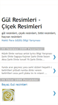 Mobile Screenshot of gulresimleri-cicekresimleri.blogspot.com