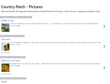 Tablet Screenshot of countrypatch.blogspot.com