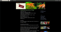 Desktop Screenshot of cpo-crayfish.blogspot.com