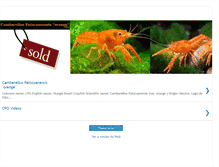 Tablet Screenshot of cpo-crayfish.blogspot.com