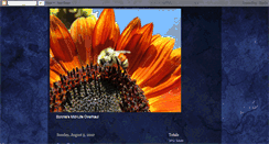 Desktop Screenshot of bonniesmid-lifeoverhaul.blogspot.com