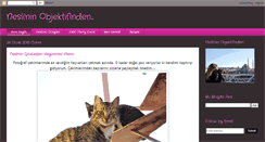 Desktop Screenshot of neslininobjektifinden.blogspot.com