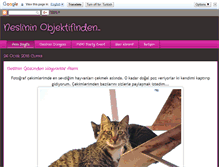 Tablet Screenshot of neslininobjektifinden.blogspot.com